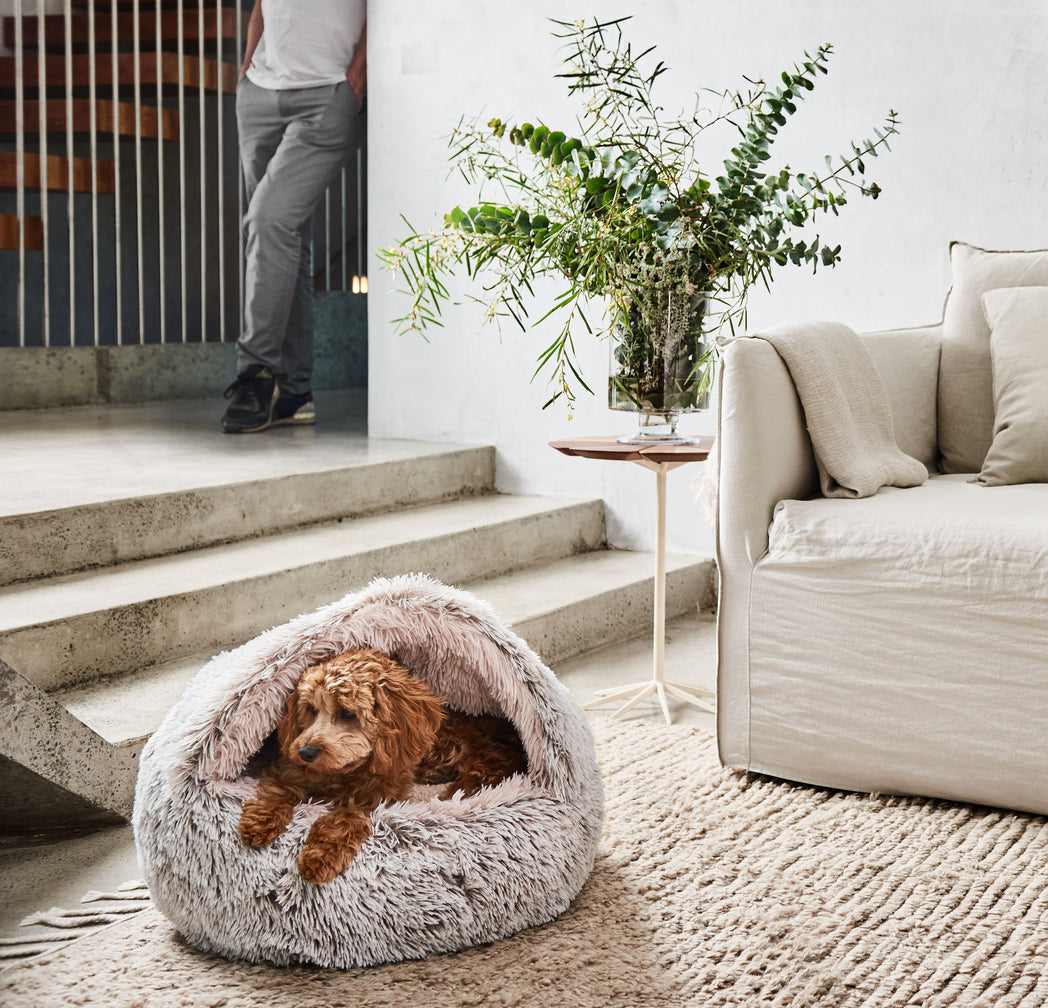 Snooza Calming Hoodie Cuddler For Dog and Cat -- Mink