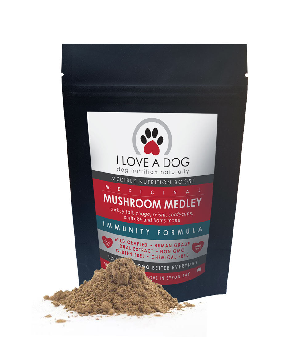 I Love a Dog Organic Mushroom Supplements - Immunity for Dogs 70g