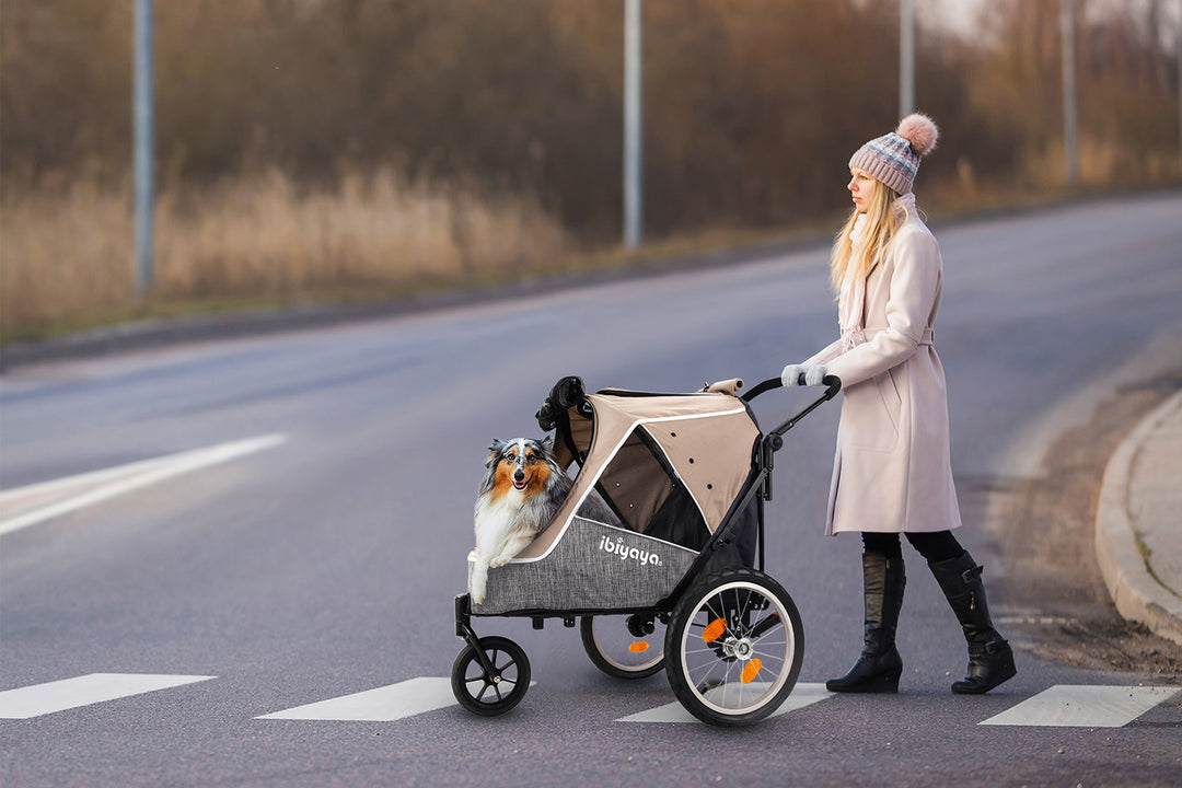 Ibiyaya Happy Pet Trailer/Jogger 2.0 Up to 30Kg-- LATTE