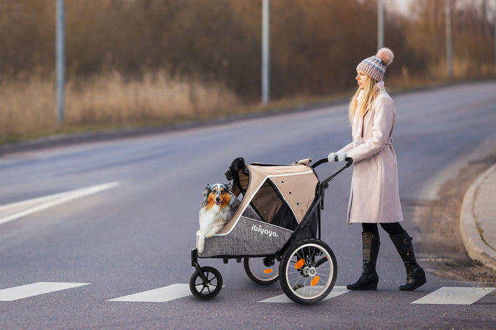 Ibiyaya Happy Pet Trailer/Jogger 2.0 Up to 30Kg-- LATTE
