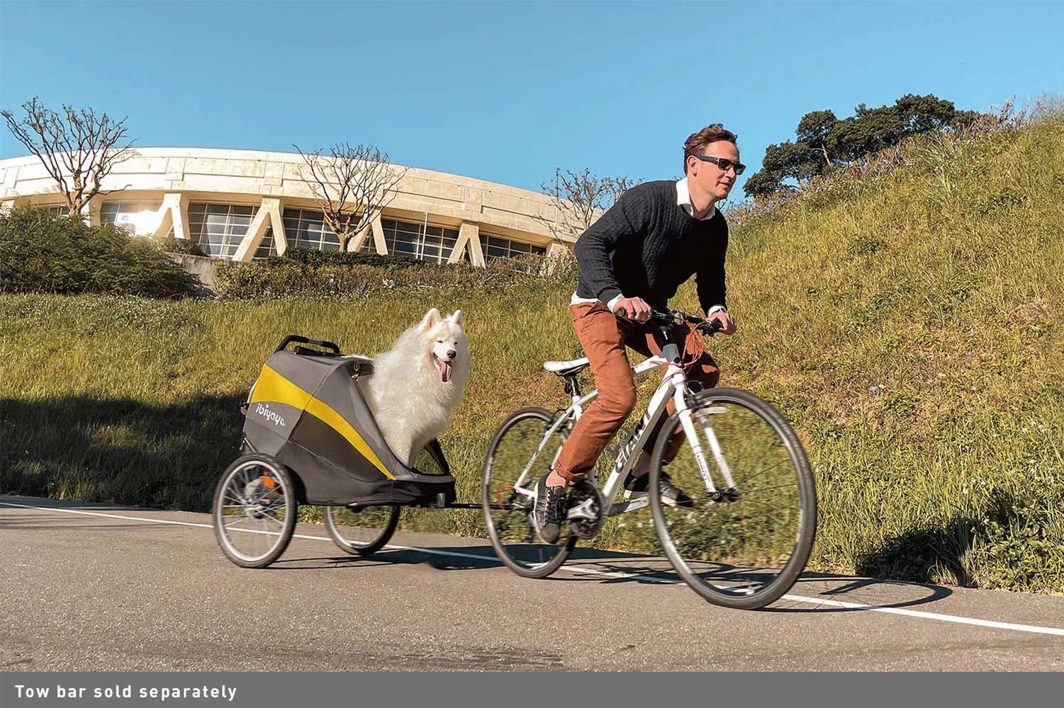 hercules heavy duty dog stroller