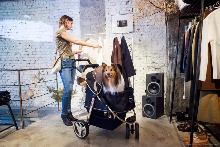 Ibiyaya Monarch Premium Pet Jogger Stroller Up to 28Kg  - Luxury Gold