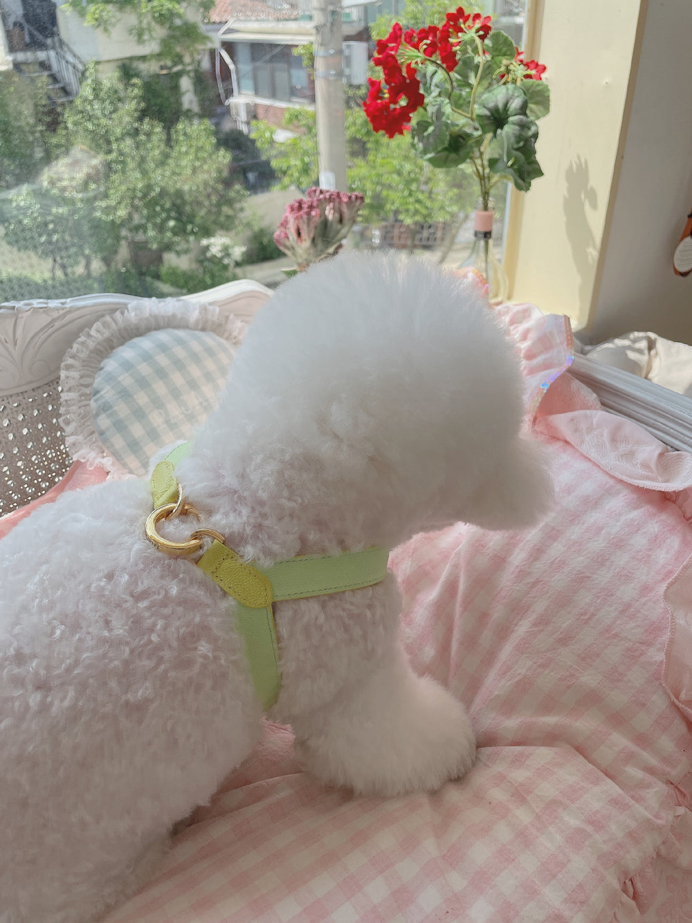 Lili Pouent Korea Lemon/Melon Reversible Leather VV Harenss For Pets