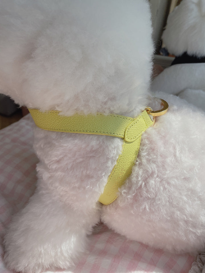Lili Pouent Korea Lemon/Melon Reversible Leather VV Harenss For Pets