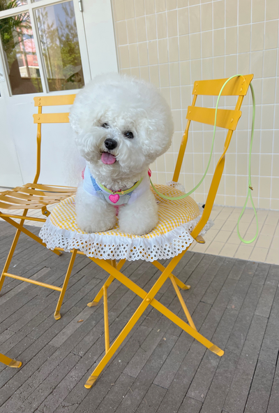 Lili Pouent Korea Lemon/Melon Reversible Leather VV Harenss For Pets