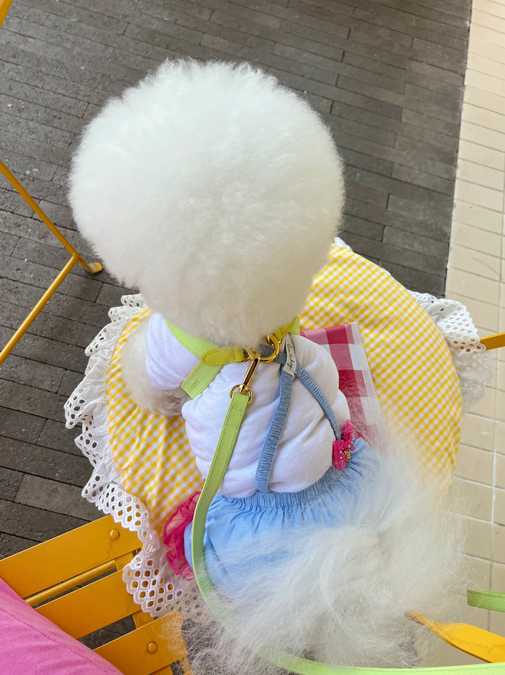 Lili Pouent Korea Lemon/Melon Reversible Leather VV Harenss For Pets