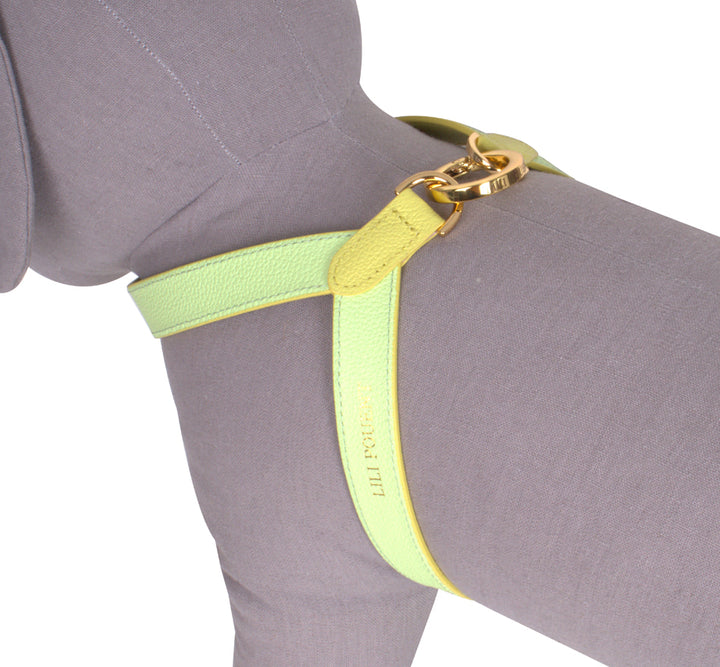 Lili Pouent Korea Lemon/Melon Reversible Leather VV Harenss For Pets