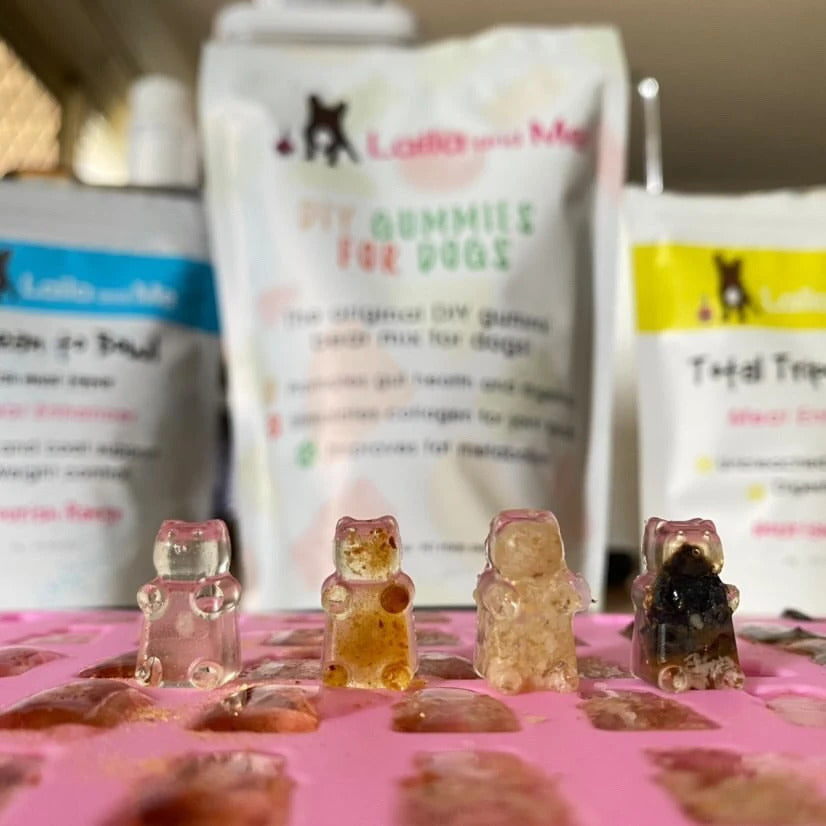 Laila & Me DIY Gummi Bear Mix Powder + Mould for Dogs