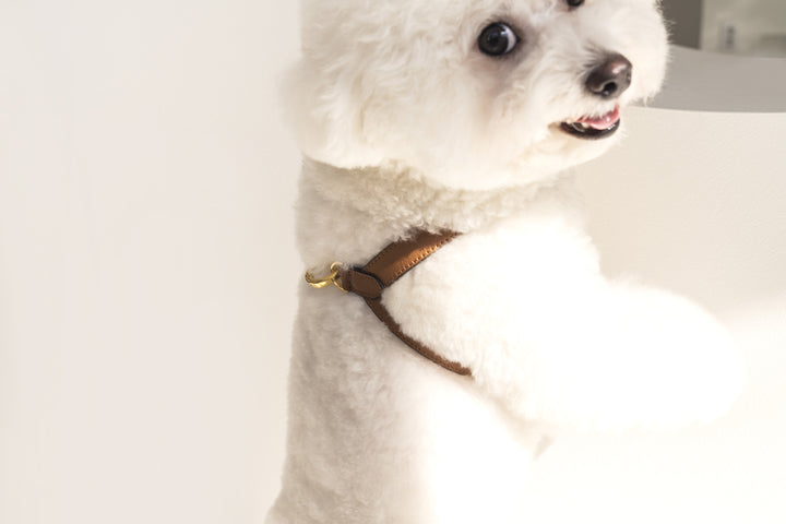 Lili Pouent Korea Camel Reversible Leather VV Harenss For Pets
