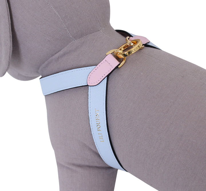 Lili Pouent Korea Pastel Pink/Blue Reversible Leather VV Harenss For Pets