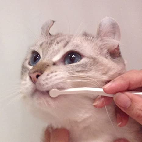 Mind Up Japan Cat Toothbrush Micro Head NYANKO CARE