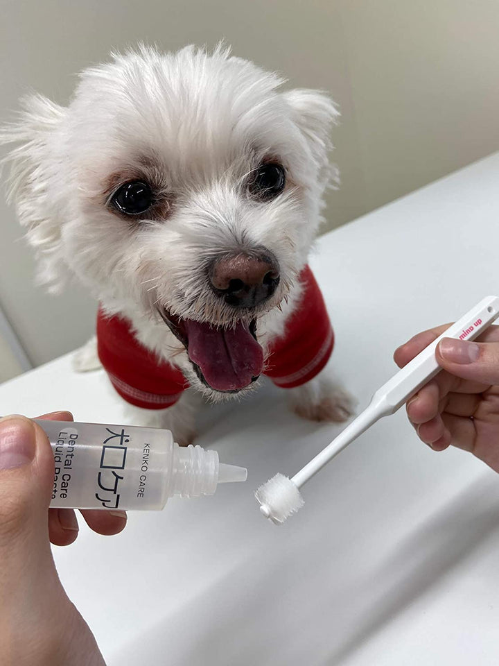 Mind Up Japan 360 Cylinder Head Dog Toothbrush KENKO CARE