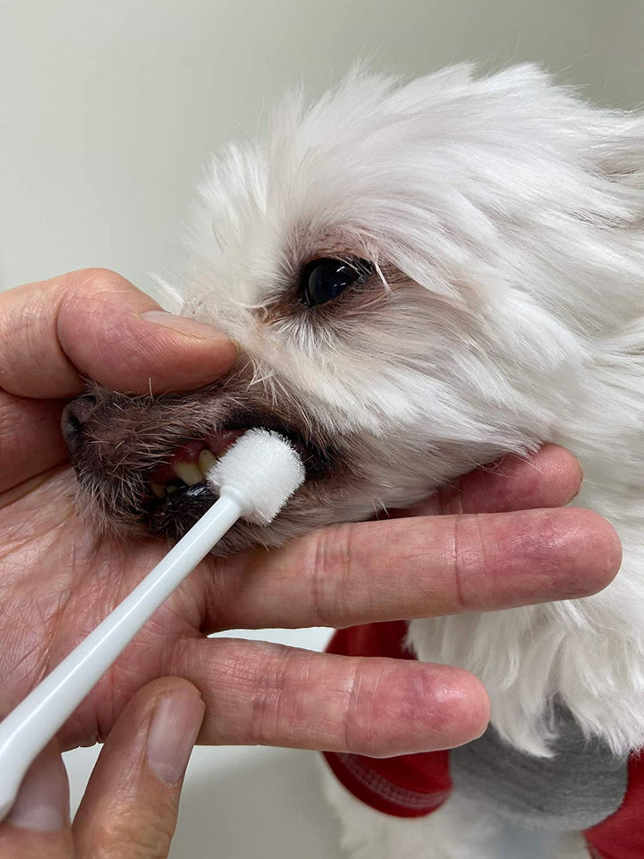 Mind Up Japan 360 Cylinder Head Dog Toothbrush KENKO CARE