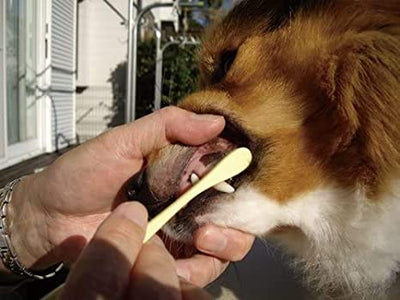Mind Up Japan Dog Toothbrush Large Head Soft Type KENKO CARE