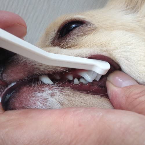 Mind Up Japan Dog Toothbrush Micro Head KENKO CARE