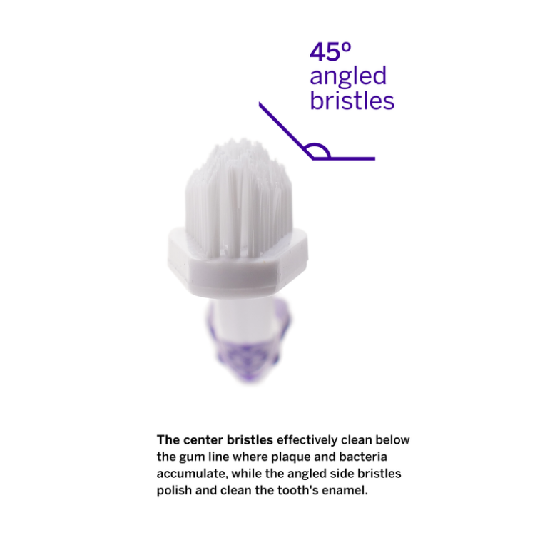 Petsmile Professional Pet Toothbrush - Patented 45° Dual-Ended Brush Head