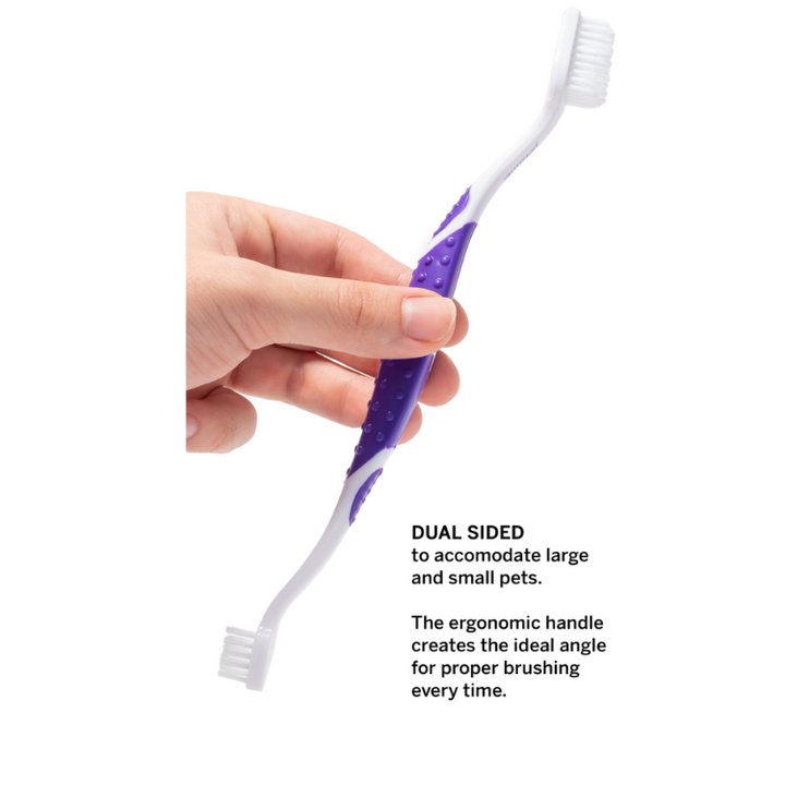 Petsmile Professional Pet Toothbrush - Patented 45° Dual-Ended Brush Head