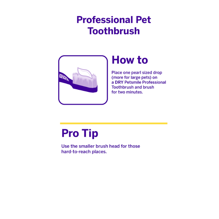 Petsmile Professional Pet Toothbrush - Patented 45° Dual-Ended Brush Head