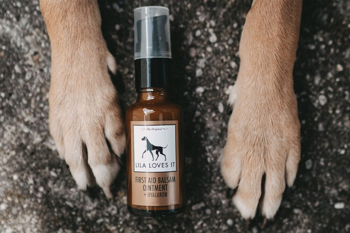 Lila Loves It First Aid Balsam Ointment Spray For Dogs and Cats