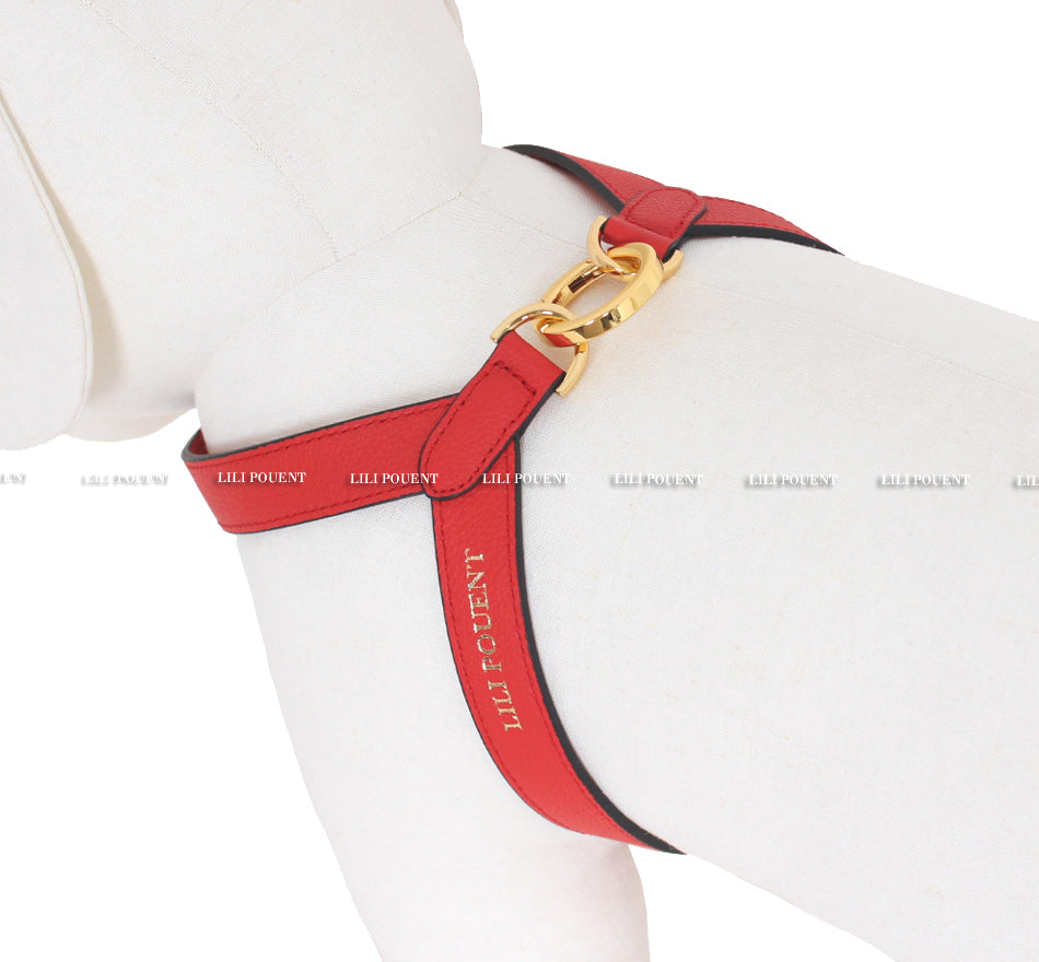 Lili Pouent Korea Red/Green Reversible Leather VV Harenss For Pets