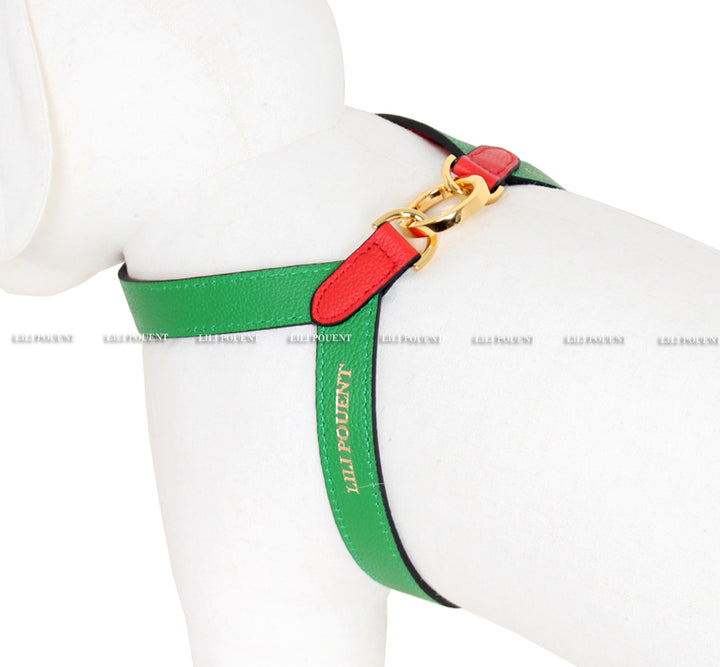 Lili Pouent Korea Red/Green Reversible Leather VV Harenss For Pets