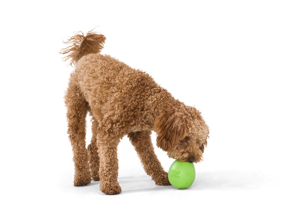West Paw Rumbl Small Dog Toy - Jungle Green