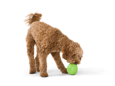 West Paw Rumbl Small Dog Toy - Jungle Green
