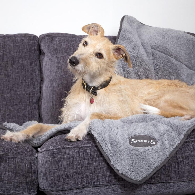 Scruffs Cosy Blanket for Dog and Cat – Grey