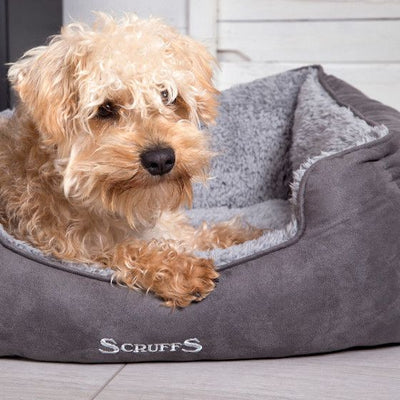 Scruffs Britain Cosy Soft Walled Dog Box Bed – Grey