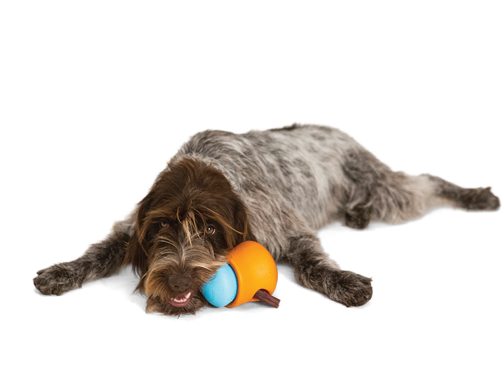West Paw Toppl Treat Dispensing Dog Toy -- Orange