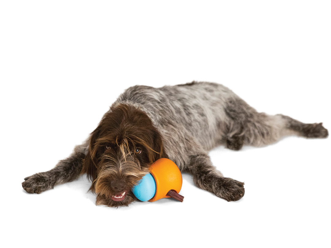 West Paw Toppl Treat Dispensing Dog Toy -- Blue