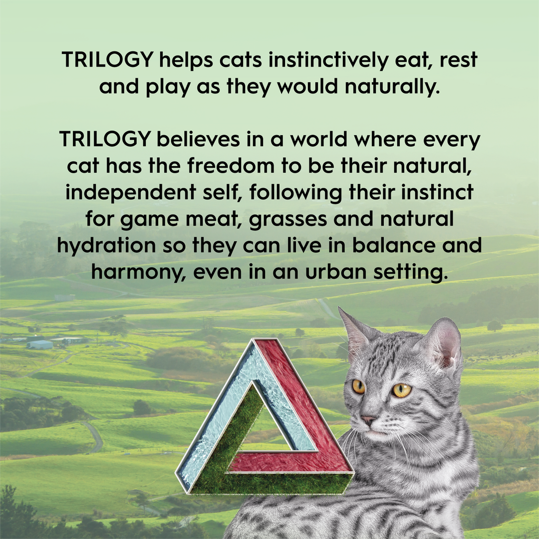 Trilogy Australian Cat Freeze Dried Treats – Lamb 50g