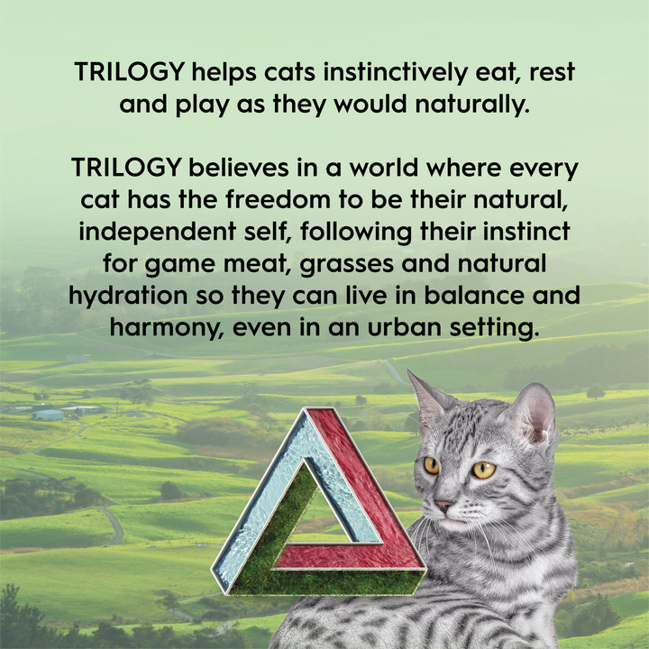 Trilogy Australian Cat Freeze Dried Treats – Lamb 50g