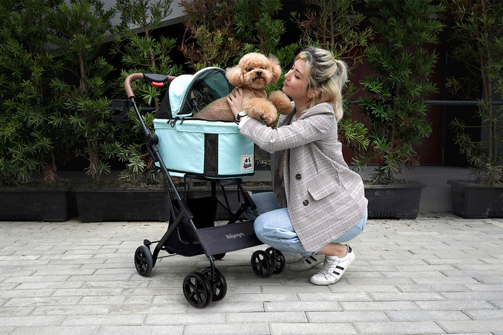 Ibiyaya Travois Tri-fold Cat & Dog Stroller Up To 15KG -- Spearmint