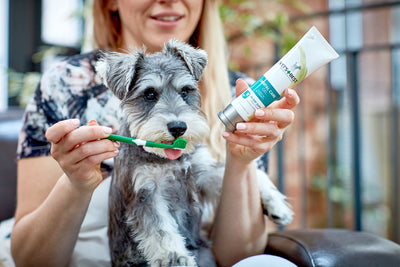 Vet’s Best Advanced Dental Care Kit for Dogs
