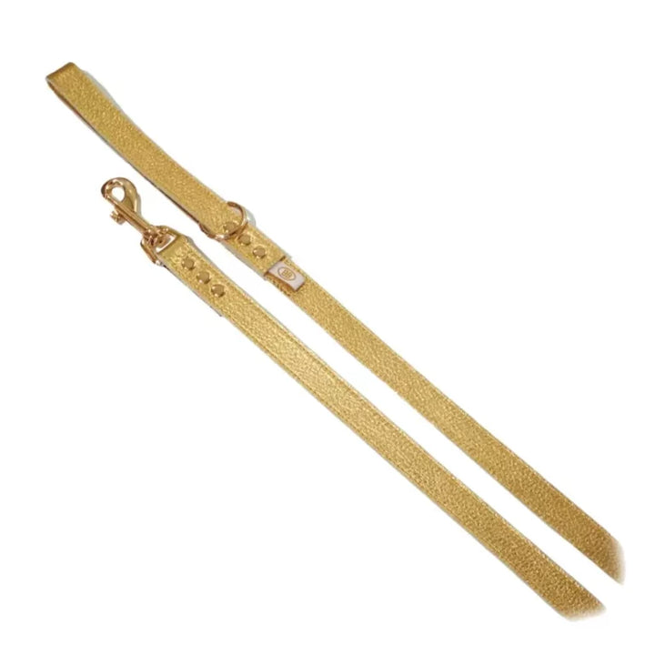 Buddy Belts (BB) All Leather Leashes – Elite – Gold Nugget
