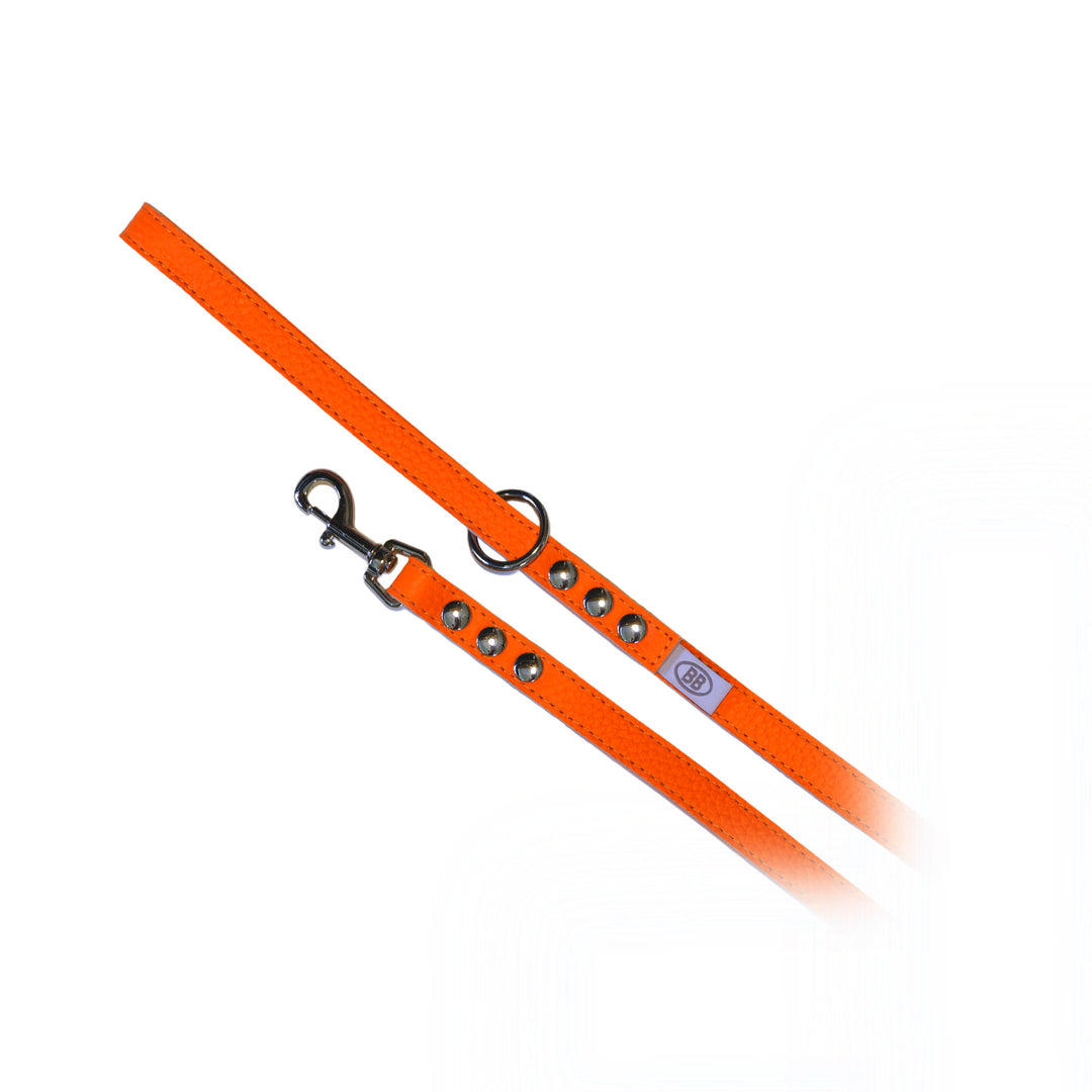 Buddy Belts (BB) All Leather Leashes – Luxury - Fireball