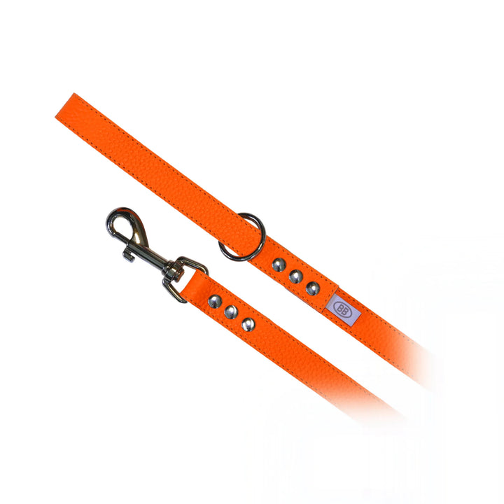 Buddy Belts (BB) All Leather Leashes – Luxury - Fireball
