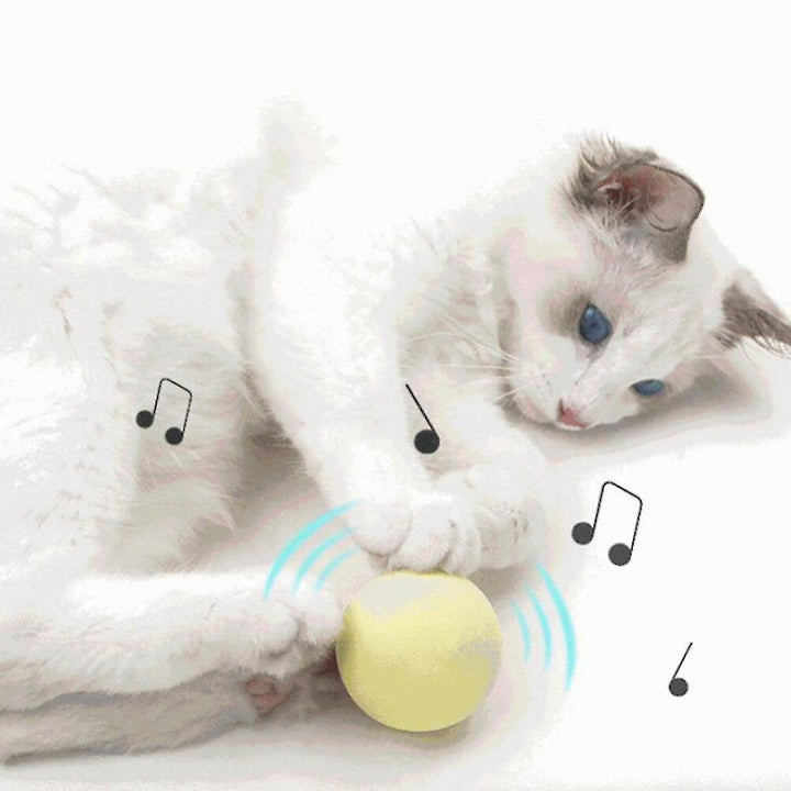 Interactive Cat Toy Chirping Ball with Catnip box of 3Pcs