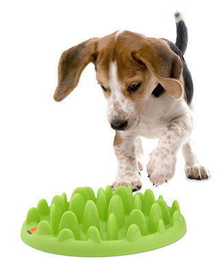 Northmate Green Mini Interactive Slow Food Dog Bowl