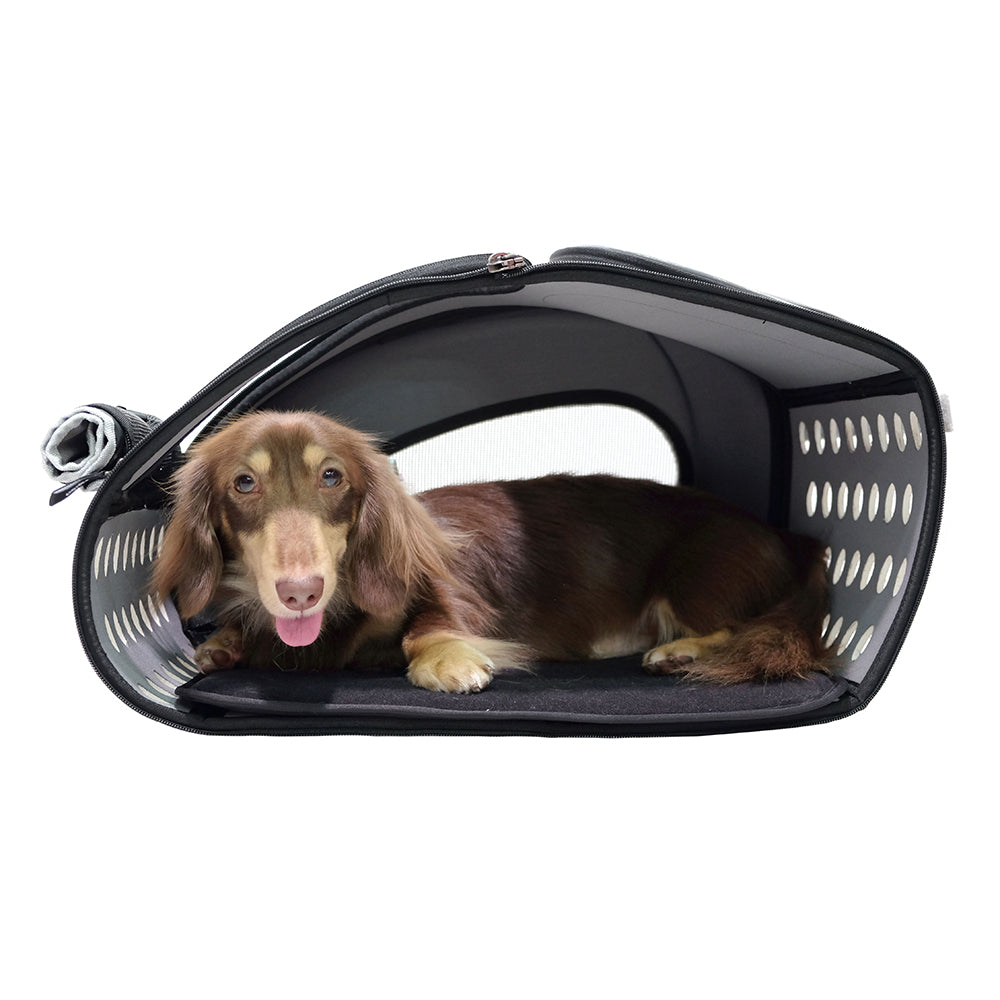 Ibiyaya 5-in-1 Combo EVA Pet Carrier / Stroller Up to 8KG-- Brown
