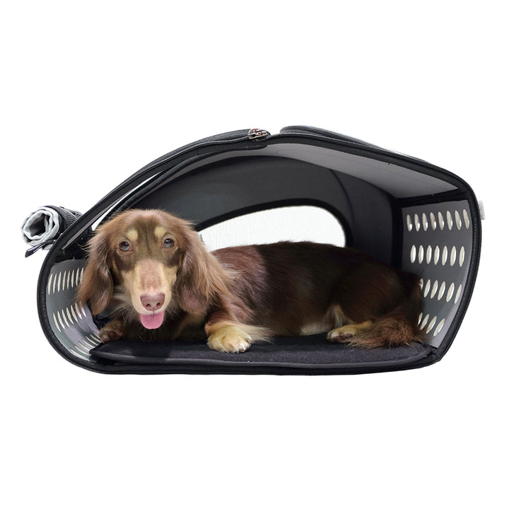 Ibiyaya 5-in-1 Combo EVA Pet Carrier / Stroller Up to 8KG-- Brown