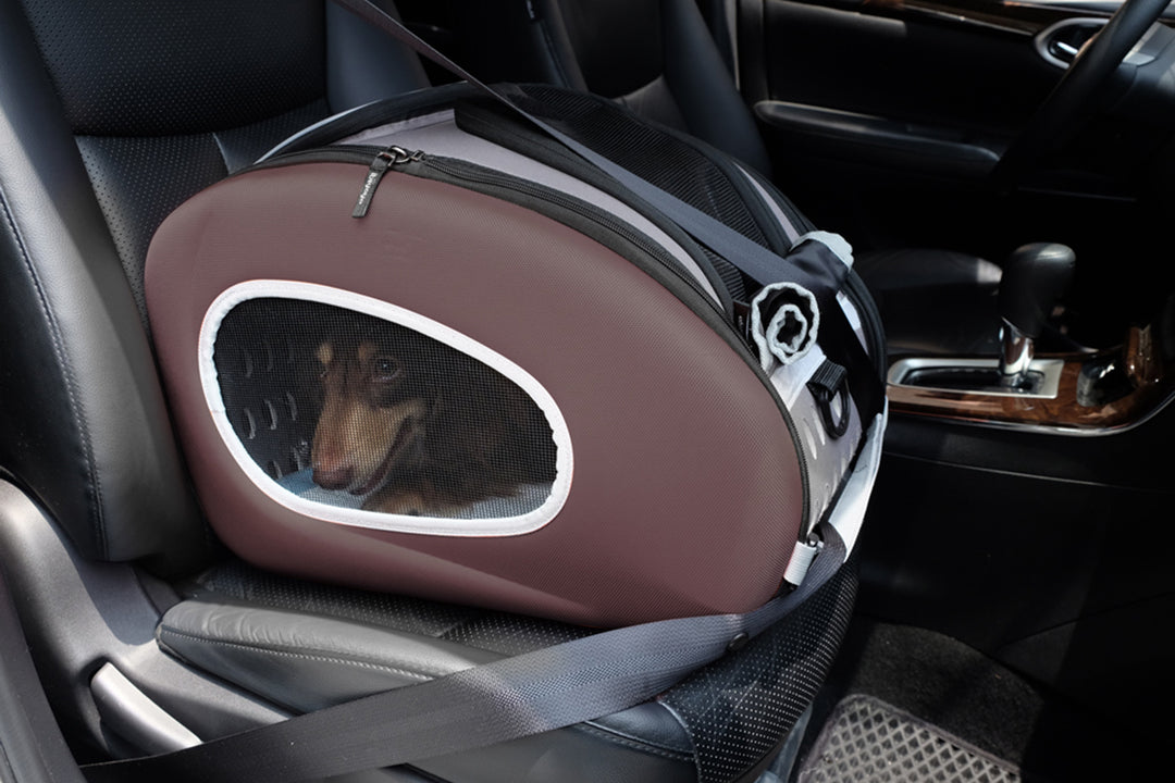 Ibiyaya 5-in-1 Combo EVA Pet Carrier / Stroller Up to 8KG-- Brown