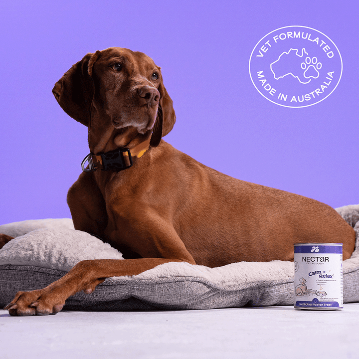 Nectar of the Dogs Calm + Relax Powder for Dogs 150g