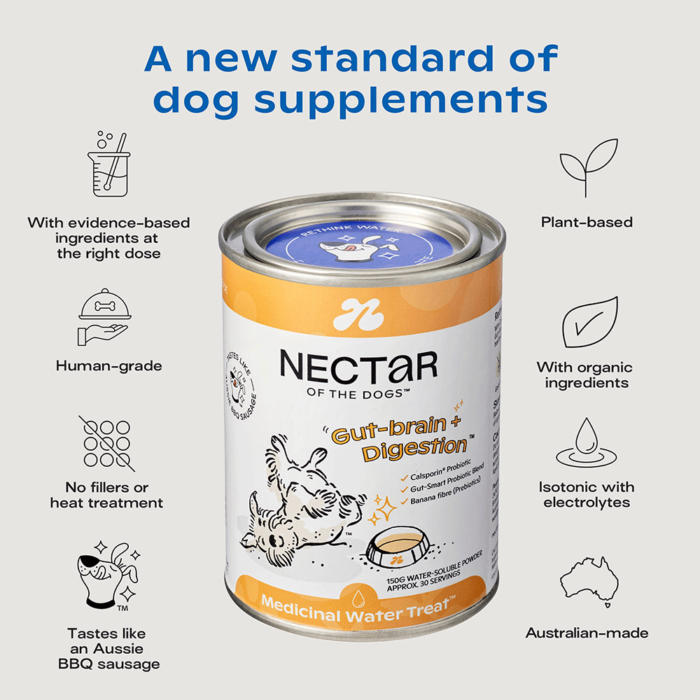 Nectar of the Dogs Brain + Digestion Powder for Dogs 150g