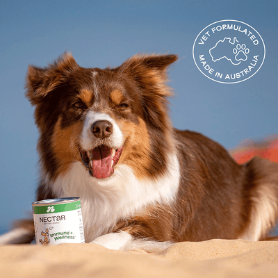 Nectar of the Dogs Immune + Wellness Powder for Dogs 150g