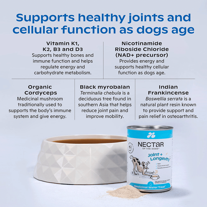 Nectar of the Dogs Joint + Longevity Powder for Dogs 150g