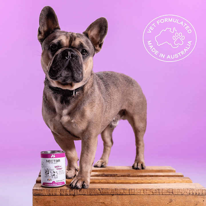 Nectar of the Dogs Skin + Coat Powder for Dogs 150g