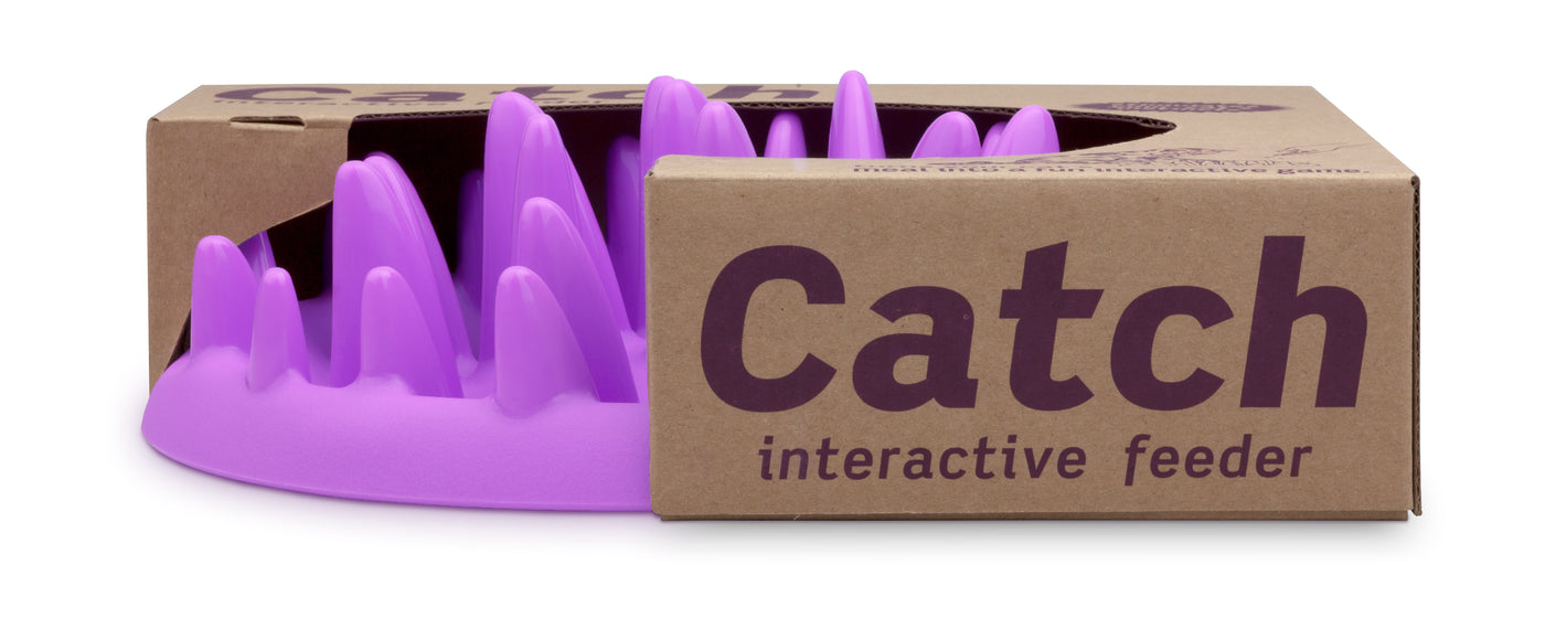 Northmate Catch Interactive Slow Feeder Food Bowl for Cat