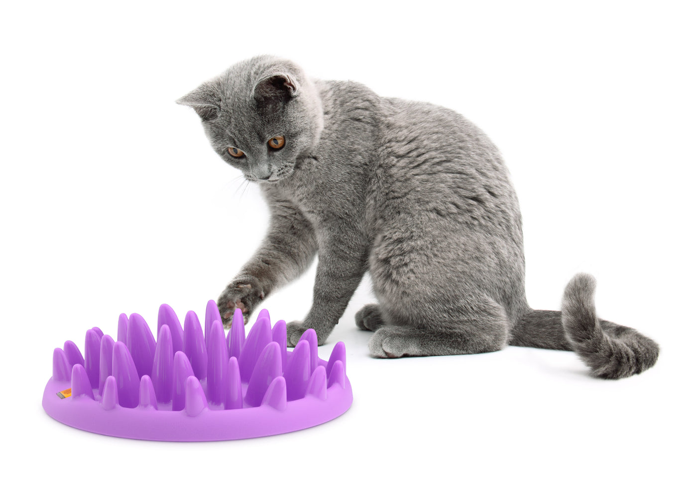 Northmate Catch Interactive Slow Feeder Food Bowl for Cat